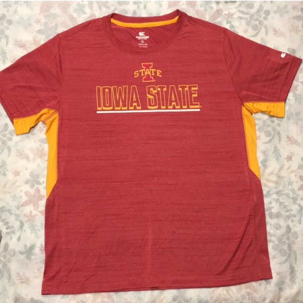 EUC Iowa State University Hoodie Sweater - Picture 13 of 16